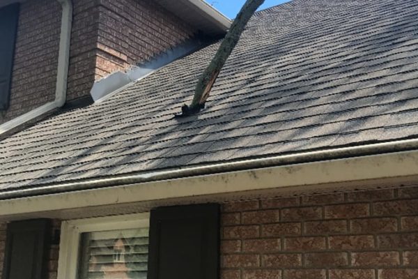 Rapid response roof repair after wind damage caused by a flying tree limb